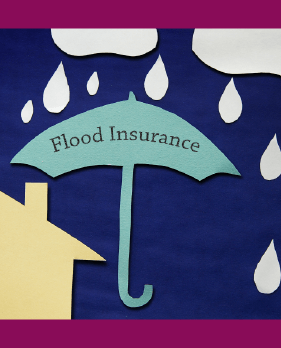 Financial Fact: Flood Insurance 101 — What to Know Before the Next Storm, Part 1