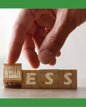 The Emotional Cost of Financial Stress